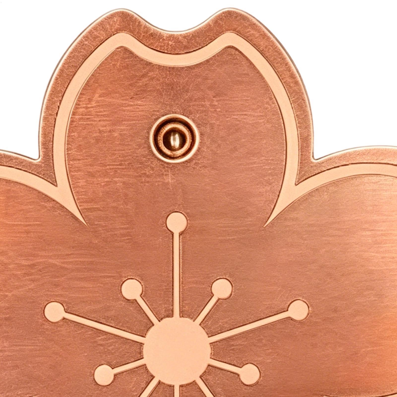 Watches Original - Placa de cobre purificadora segura para